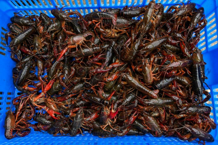 Wuhan Wet Market