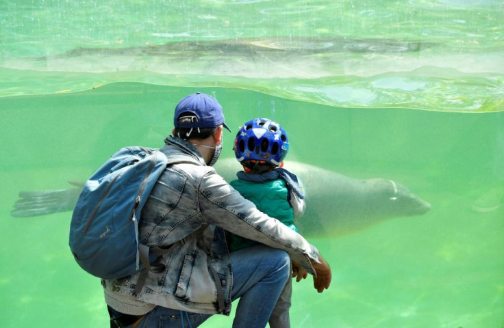 Berlin Zoo