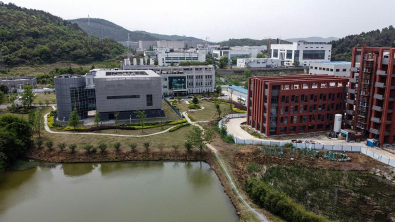 The Wuhan Institute