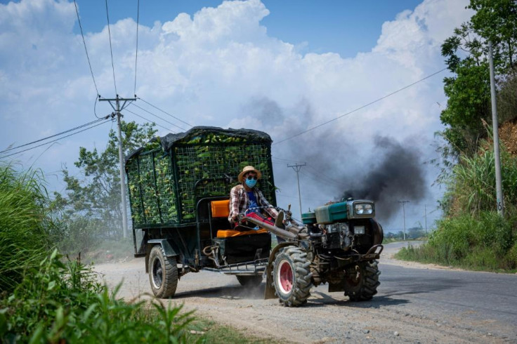 Chinese Farmers