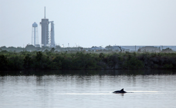 SpaceX's Falcon 9 rocket