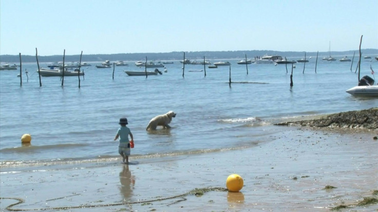 France experiences heatwave