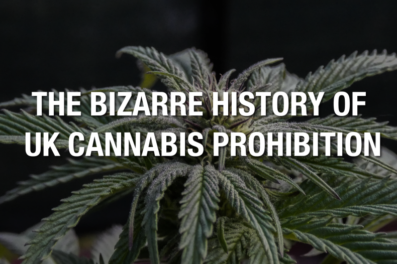 The Bizarre History of UK Cannabis Prohibition