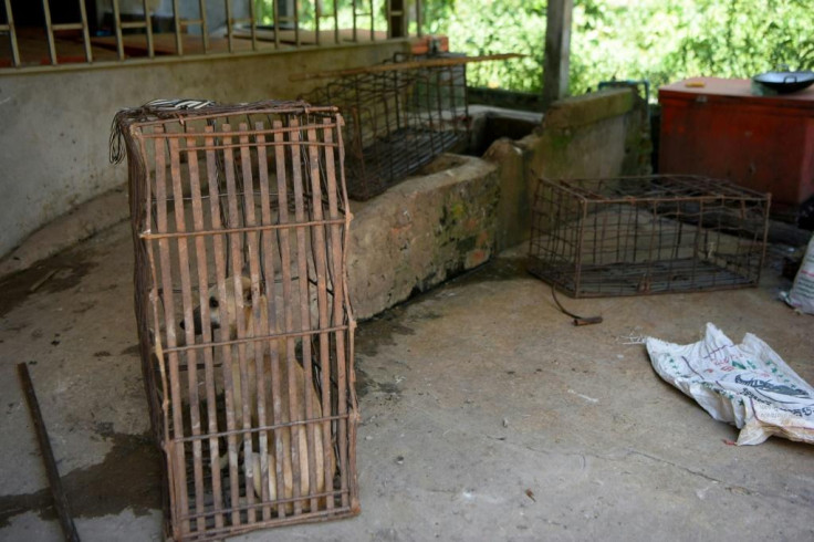 Cambodia's dog meat trade