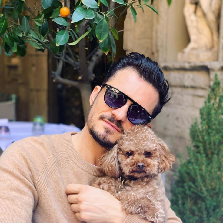 Orlando Bloom with his dog Mighty