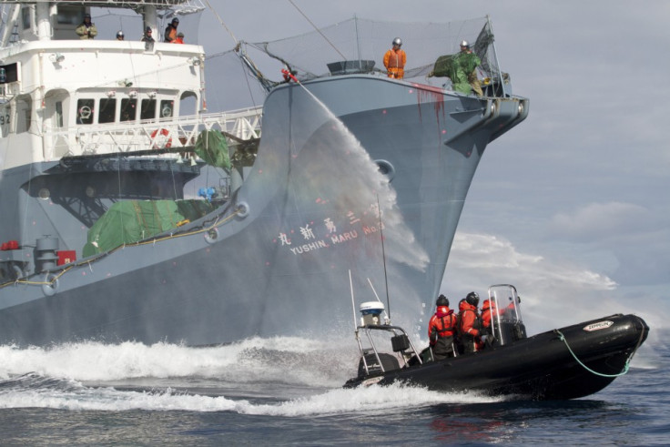 Activists Report Presence of Japanese Whaling Security Ship Inside Australian Waters