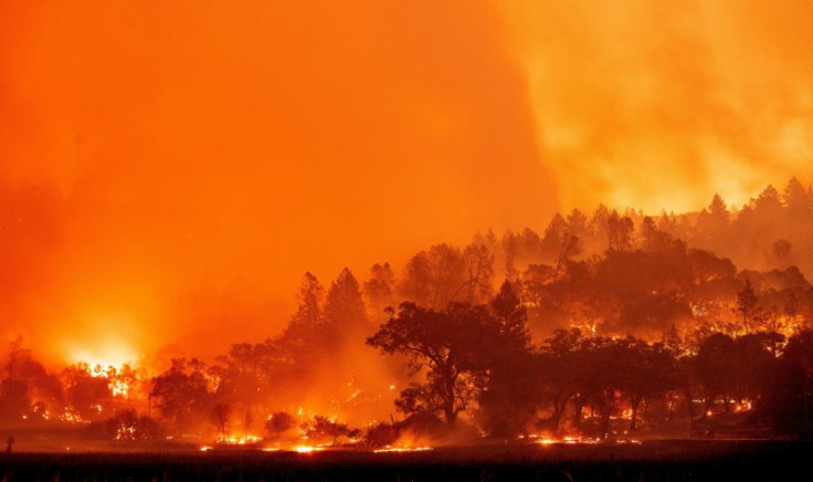 California Wildfires