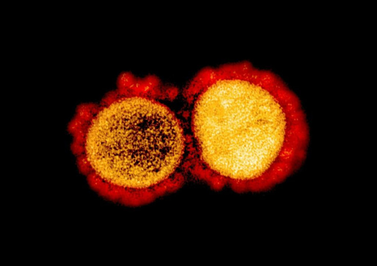 coronavirus