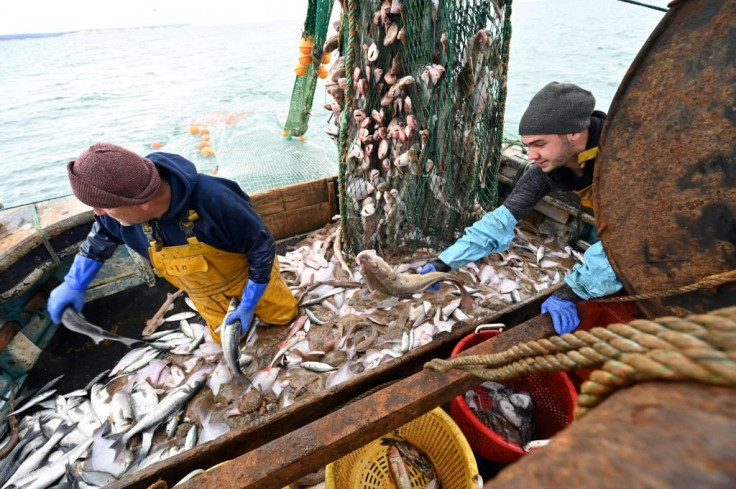 EU fishing rights