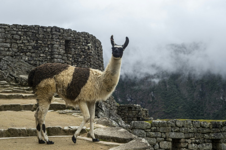 Peru's Machu Picchu reopens