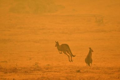 Climate change worsening Australia's extreme weather