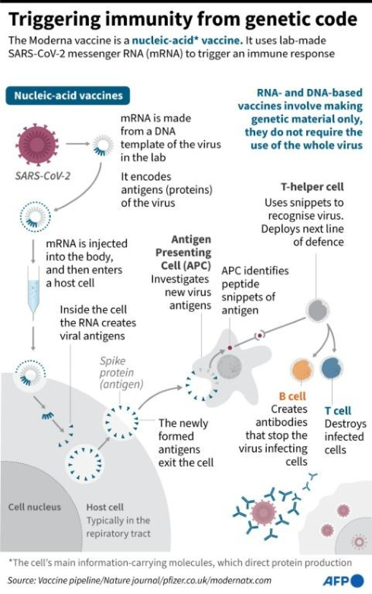 Triggering immunity from genetic code 