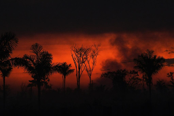 Brazil wildfire