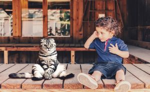 Cat Helps Kids With Autism Cat Helps Kids With Autism