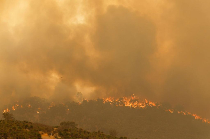 Australian bushfire