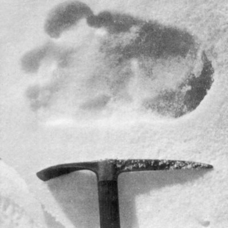 Yeti footprint