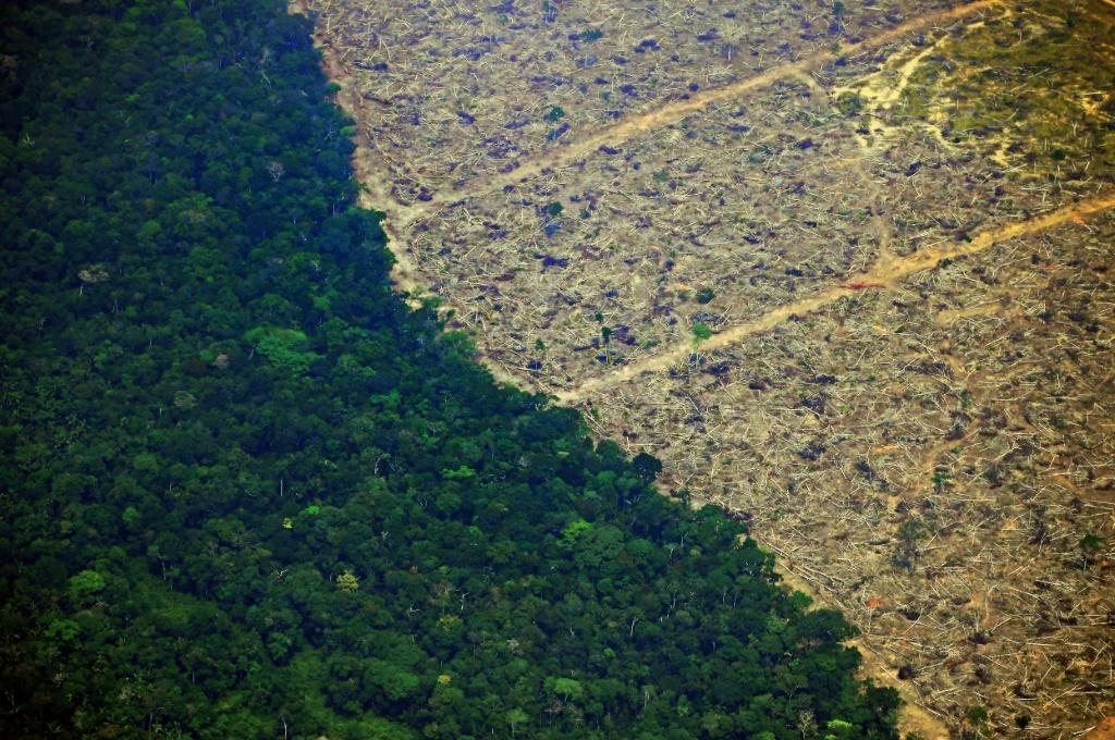 La forêt amazonienne est confrontée à une sécheresse dévastatrice alors que la crise climatique s’aggrave