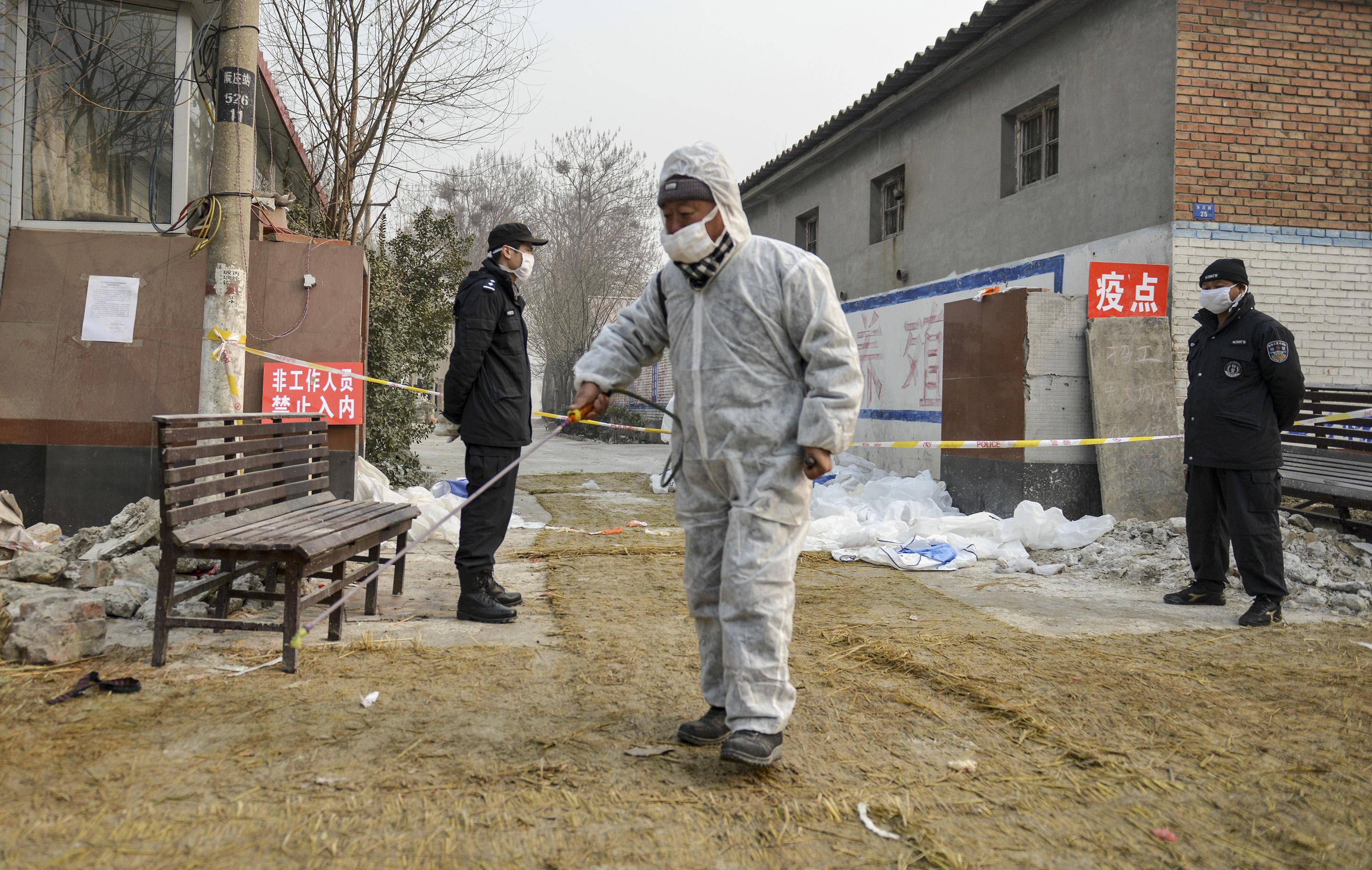 Une Chinoise décède de deux souches combinées de grippe aviaire