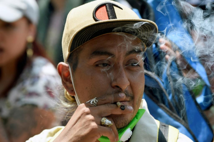 Mexico marijuana use