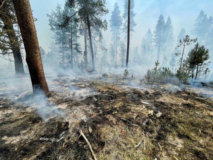 US wildfire US wildfire