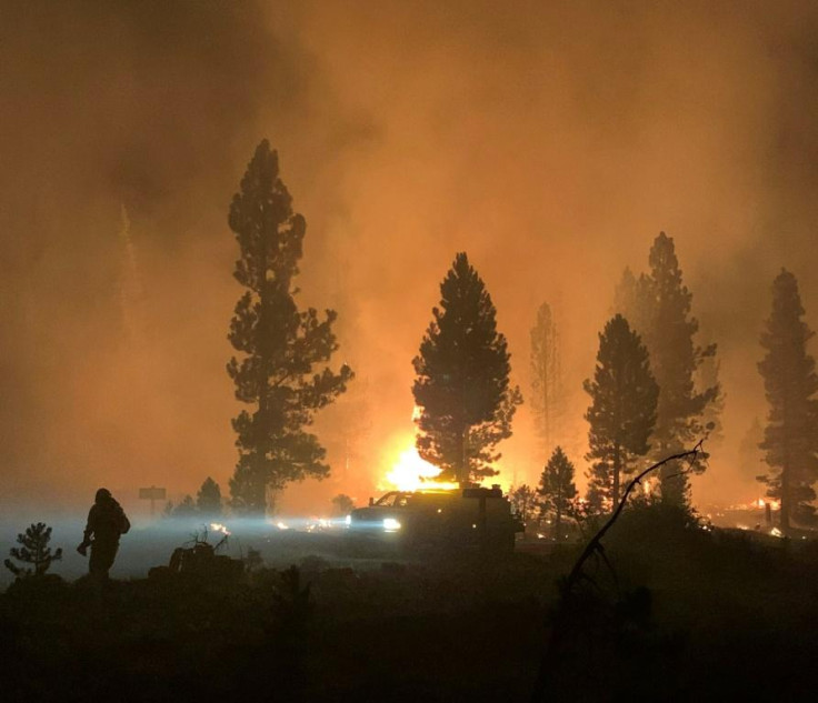 US Wildfire US Wildfire