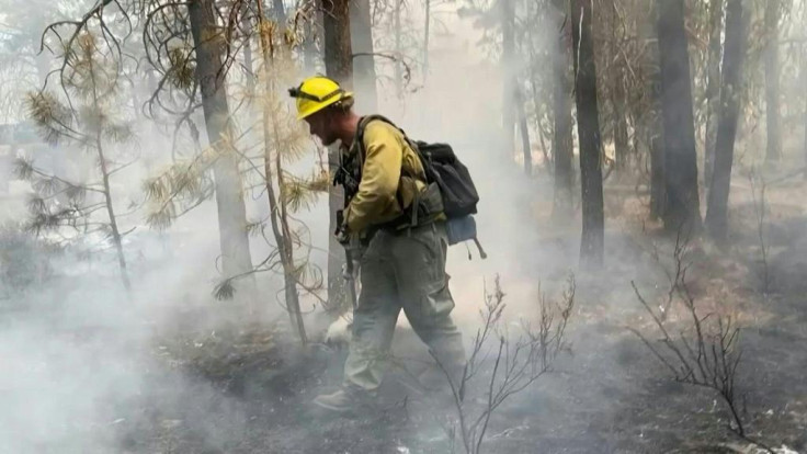 US Wildfire US Wildfire