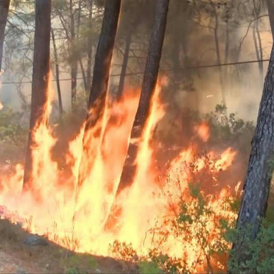 Turkey forest fire