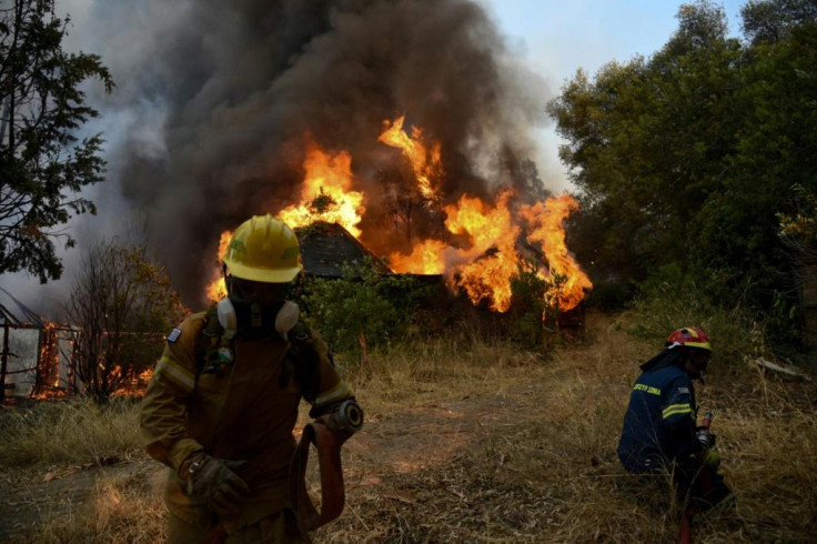 Turkey forest fire