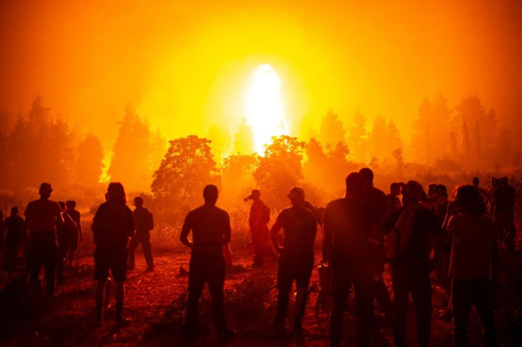 Forest fire
