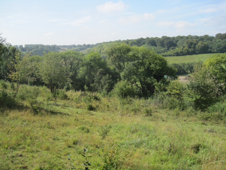 decomposed body found near Saltbox Hill