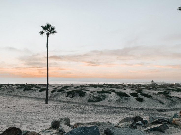 Coronado Beach