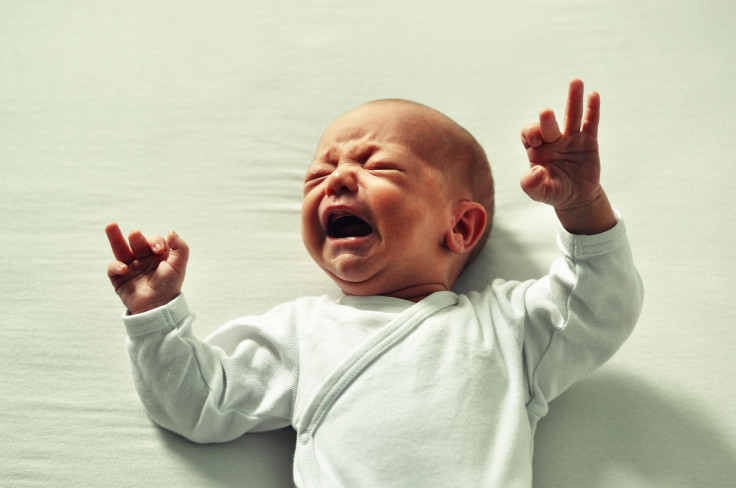Newborn Newborn