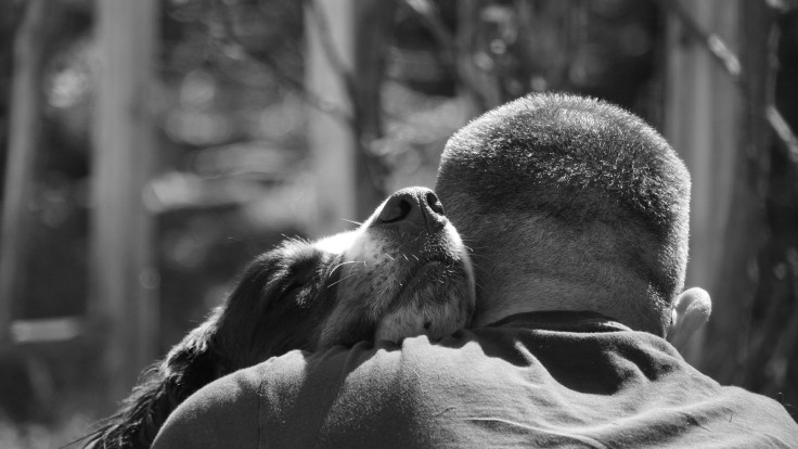 Man and dog