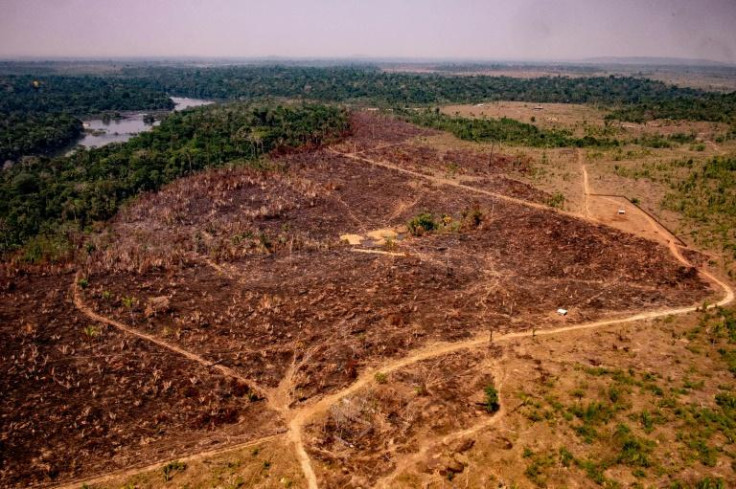 Brazil deforestation