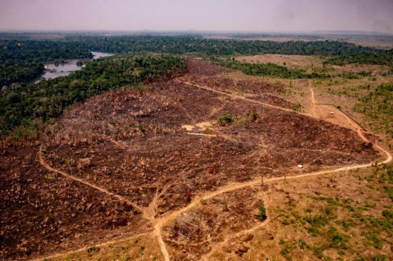 Brazil deforestation