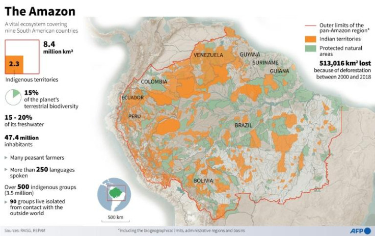 Amazon basin