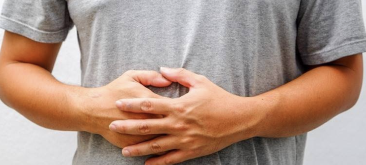 Gut Health Gut Health