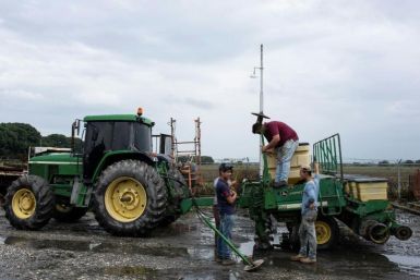 Venezuela fertilizer production