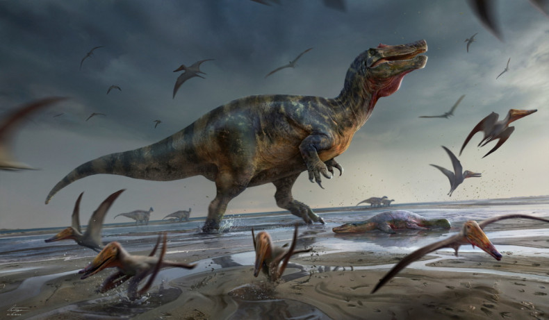Artist's illustration shows a large meat-eating dinosaur dubbed the "White Rock spinosaurid,