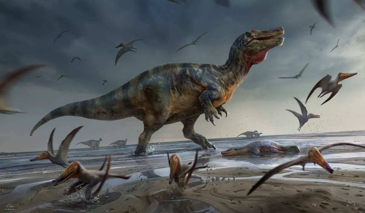 Europe's Largest Meat-eating Dinosaur Found On Isle Of Wight - Vimarsana News