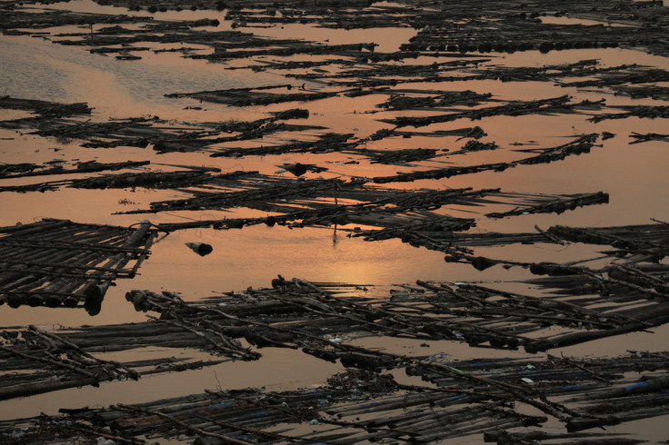 Logs of wood float on the Lagos lagoon near the Makoko riverine slum, in Lagos