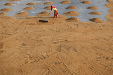 A worker spreads rice for drying at a rice mill on the outskirts of Kolkata