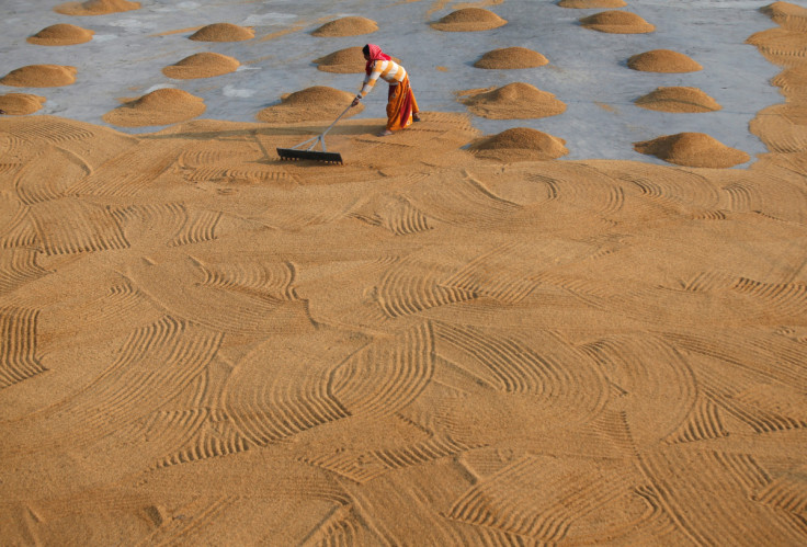 A worker spreads rice for drying at a rice mill on the outskirts of Kolkata