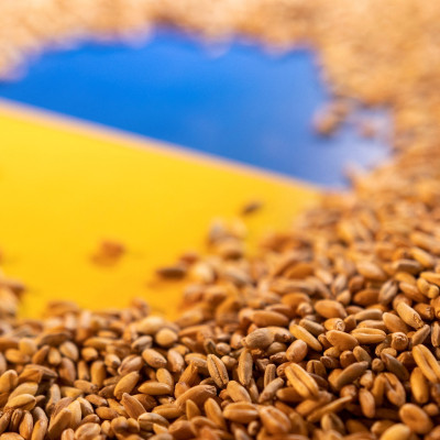 Illustration shows Ukrainian flag and grain