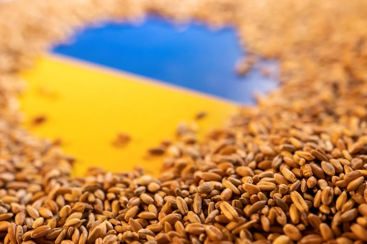 The sea mines floating between Ukraine's grain stocks and the world - Vimarsana News