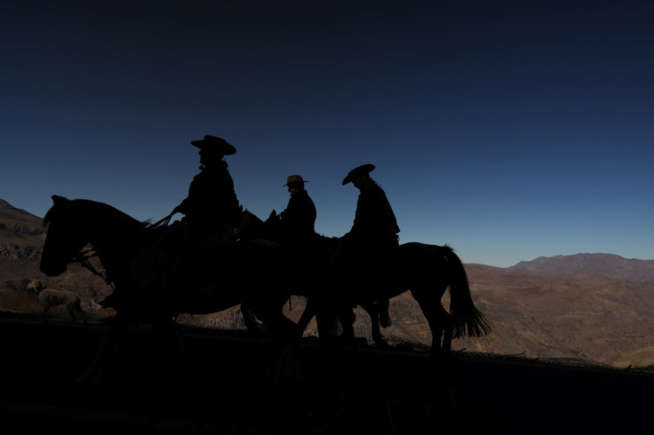 The Wider Image: 'We beg God for water': Chilean lake turns to desert, sounding climate change alarm