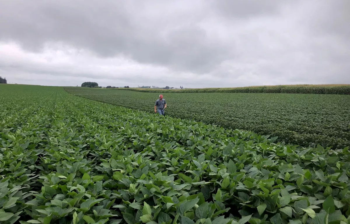 'Off The Charts' Chemical Shortages Hit U.S. Farms - Vimarsana News