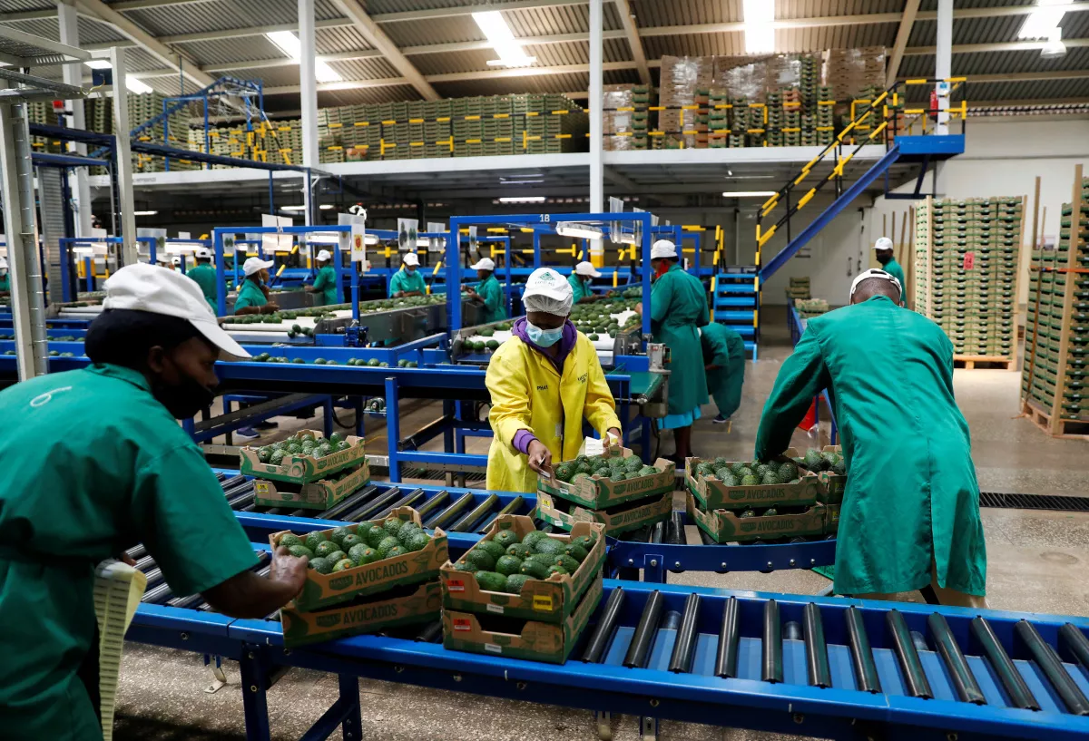 Africa's Dream Of Feeding China Hits Hard Reality - Vimarsana News