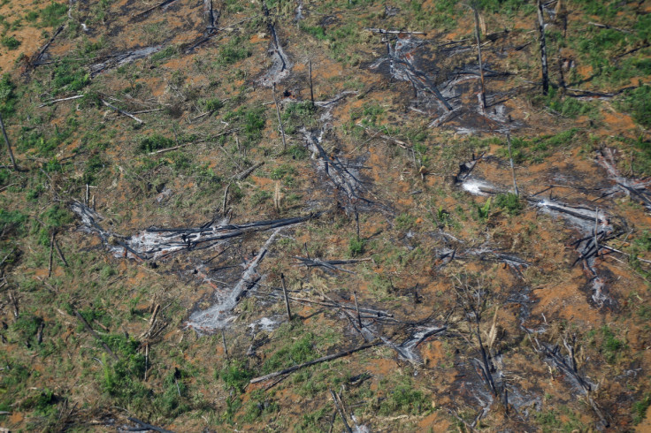 Forest fires in the Amazon rainforest in Brazil