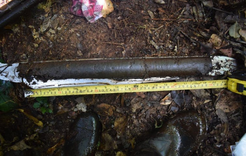  The top 50cm of a peat core.